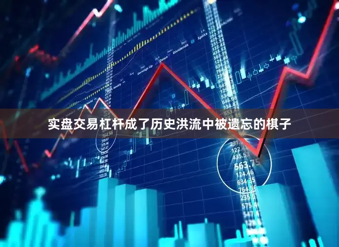 实盘交易杠杆成了历史洪流中被遗忘的棋子