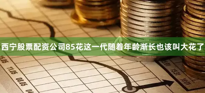 西宁股票配资公司85花这一代随着年龄渐长也该叫大花了