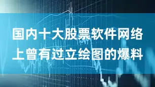 国内十大股票软件网络上曾有过立绘图的爆料